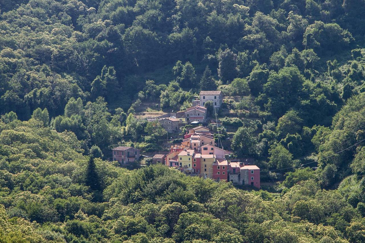 Borgo Di Codeglia - Country Rooms Riccò del Golfo di Spezia Kültér fotó