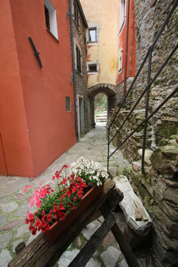 Borgo Di Codeglia - Country Rooms Riccò del Golfo di Spezia Kültér fotó