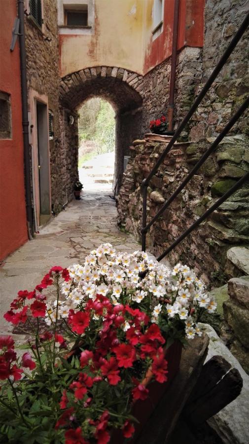 Borgo Di Codeglia - Country Rooms Riccò del Golfo di Spezia Kültér fotó